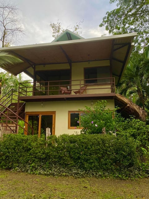 Property building, Garden view