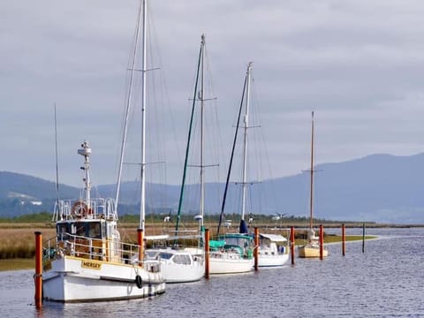 Convent Franklin - Alice Catherine Unit Apartment in Tasmania