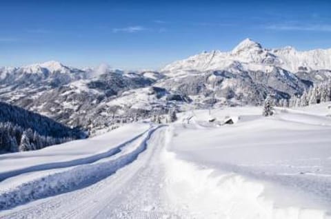 Résidence Les Belles Roches - Appartement de charme huit personnes au coeur du village MAE-5134 Apartment in Notre-Dame-de-Bellecombe