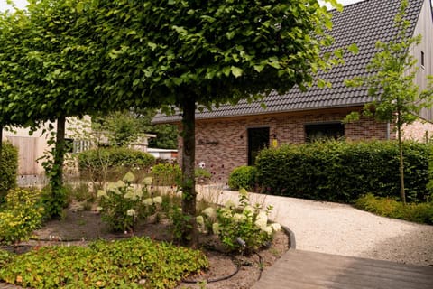 'De Zandrug' vakantiehoeve - B&B House in Zeeland, Netherlands