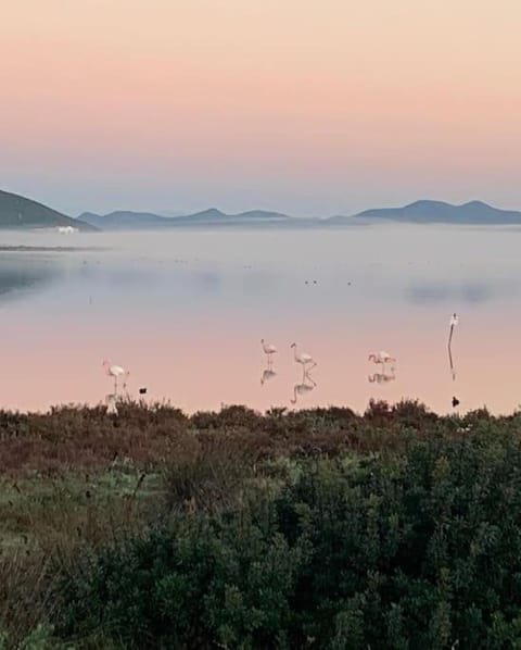 Residence Elegance Villa La Sterlizia Porto Pino House in Sardinia