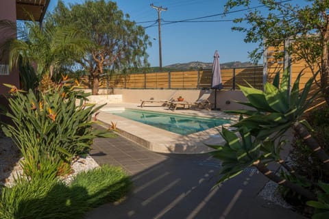 Garden, Pool view, Swimming pool