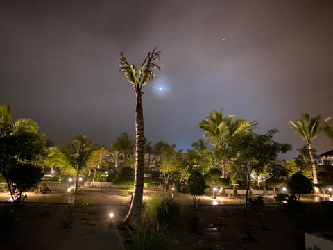 Night, Garden, Garden view