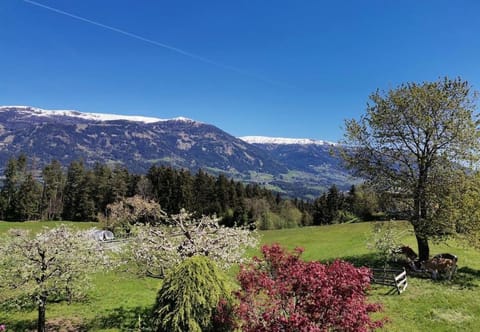 Ferienwohnung Bergblick Apartment in Spittal an der Drau