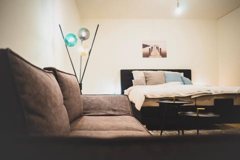 Bed, Living room, Photo of the whole room, Seating area, Bedroom