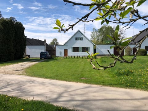 Property building, Spring, Day, Neighbourhood, Natural landscape, Garden, Garden view, Street view