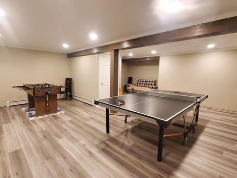 Table tennis, Table tennis