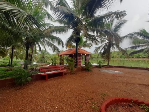 Day, Natural landscape