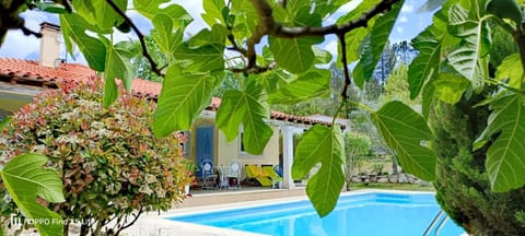 Garden, Pool view, Swimming pool