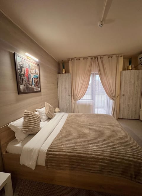 PENSIUNEA UNO Bed and Breakfast in Timisoara