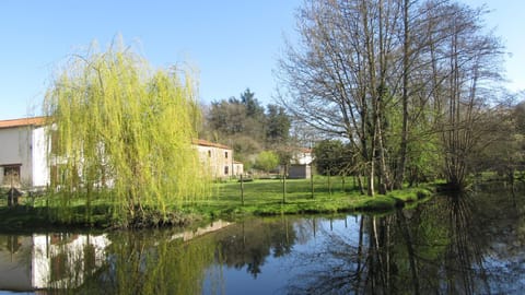 River view
