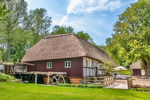 Property building, Day, Garden