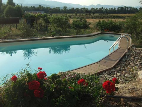 Pool view