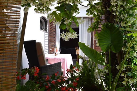 Apartments Zita Apartment in Poreč