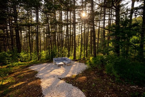 Spring, Neighbourhood, Natural landscape
