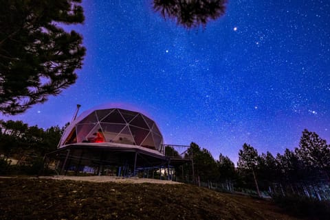 Night, Natural landscape