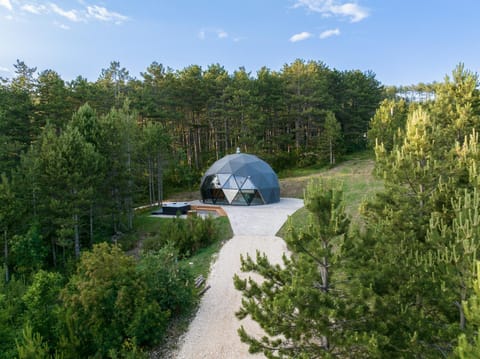 Spring, Day, Natural landscape