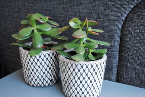 modern, gezellig vakantieappartement met ruim terras en garage in Oostende Apartment in Ostend