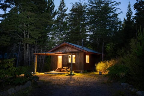 Property building, Facade/entrance, Off site, Night, Natural landscape