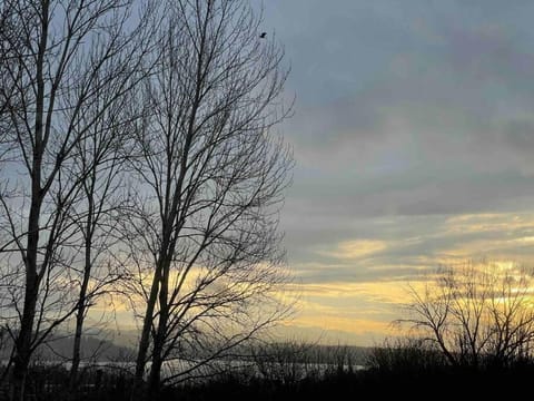 Lakeview Home by Lightrail Downtown & Airport House in Tukwila
