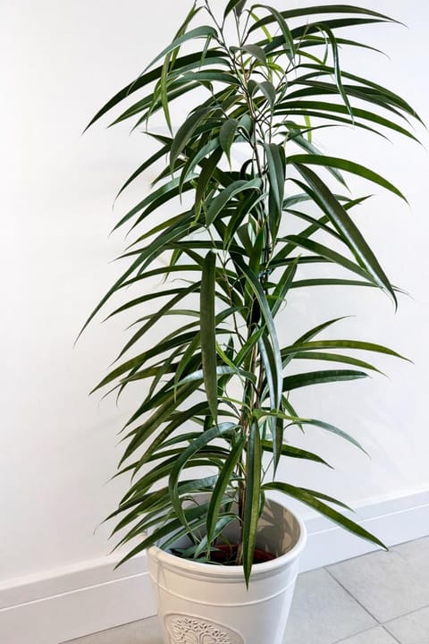 Spacious En-suite Private Double Bedroom Vacation rental in Oxford