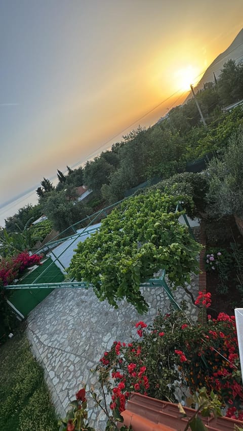 XHEKO ROOMS Hotel in Vlorë County, Albania