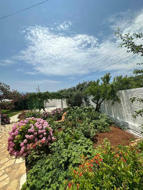 XHEKO ROOMS Hotel in Vlorë County, Albania