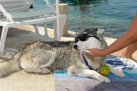 AG Komarna - Peljesac Bridge Apartments Apartment in Dubrovnik-Neretva County