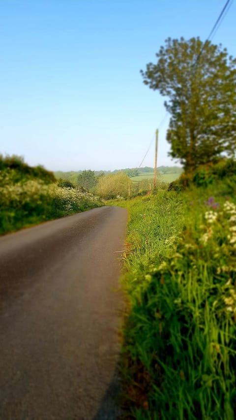 Appleton House Bed and Breakfast in West Devon District