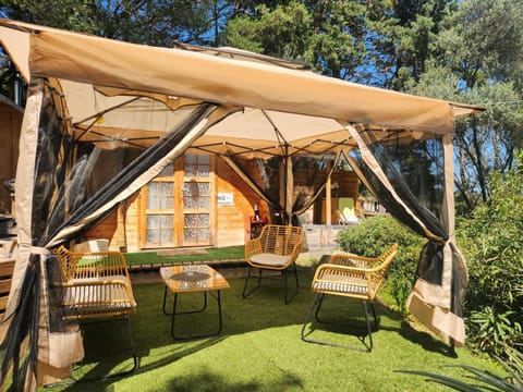 Patio, Garden, Living room, Seating area, Garden view, sunbed