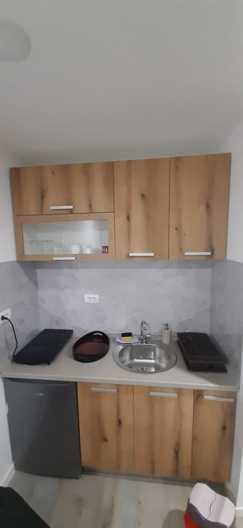 Tid Apartman Apartment in Serbia