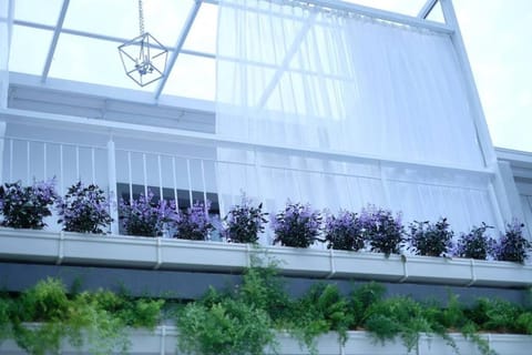 Garden, Garden, Garden view