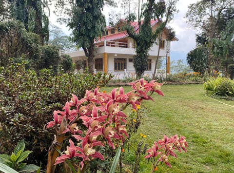Property building, Garden