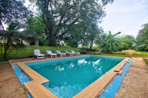 Garden, Pool view, Swimming pool