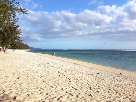 Nearby landmark, Day, Natural landscape, Beach