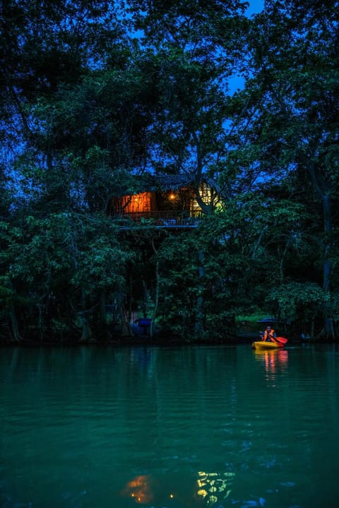 Lake view