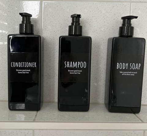 Casa Ruth Brissago Apartment in Ascona