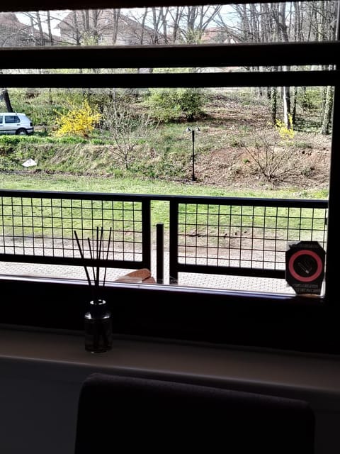 ROSA Apartment in Serbia