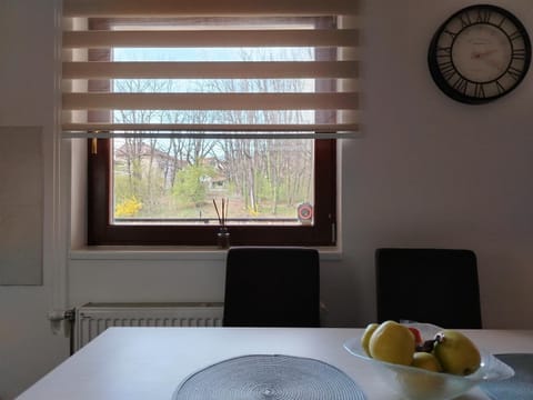 ROSA Apartment in Serbia