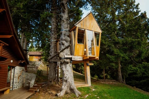 Property building, Day, Garden, Garden view