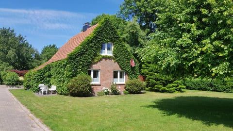 Property building, Garden, Garden, Garden view