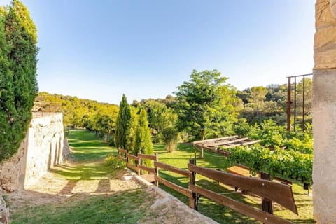 Garden, Garden view