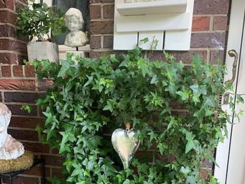 Facade/entrance, Garden