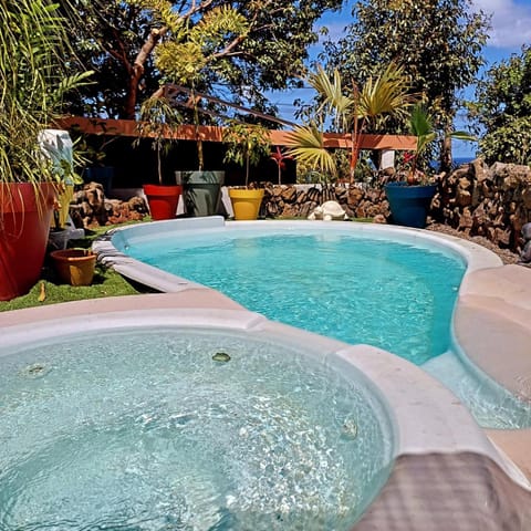 Garden, Pool view, Swimming pool