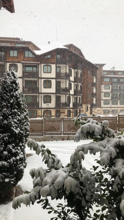 Property building, Winter