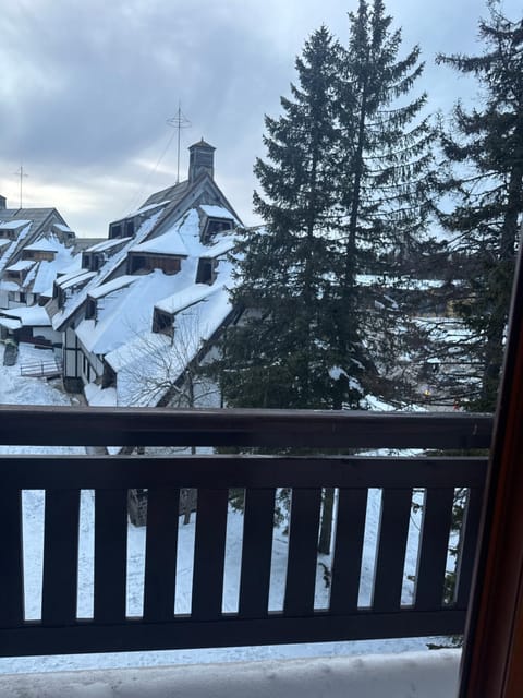 Vila Kopaonik Apartmani Milenkovic Apartment in Serbia