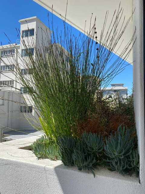 Stay Blissful at The Flamingo Apartment in Sea Point