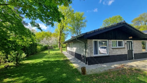 Property building, Spring, Day, Natural landscape, Garden view