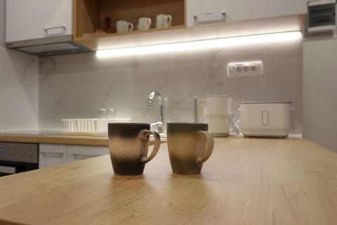 Heart of Niš Lux Apartment in Serbia