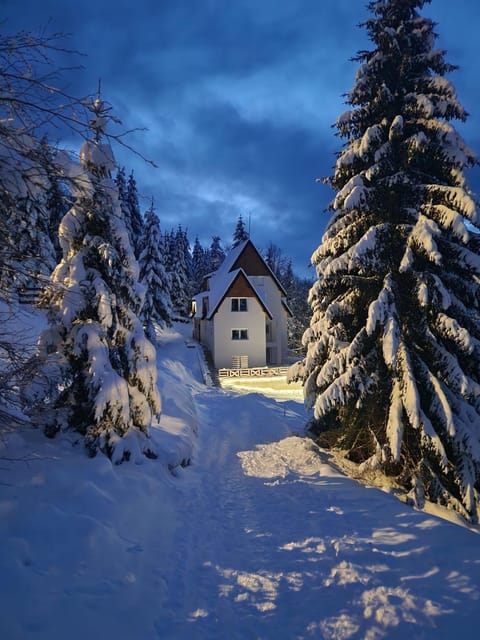 Property building, Night, Natural landscape, Winter